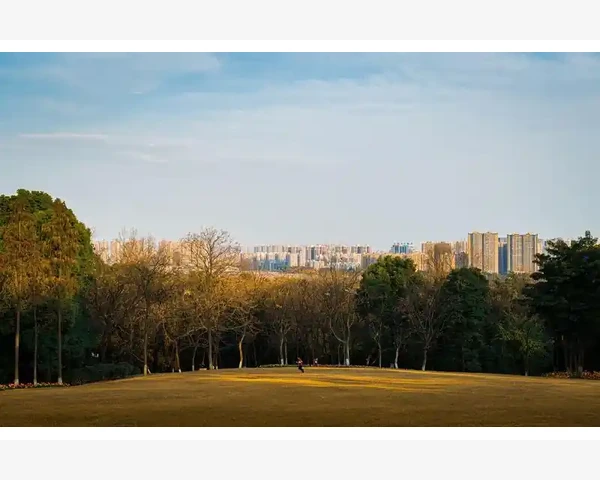 中医化痰逐水方剂的应用与探讨